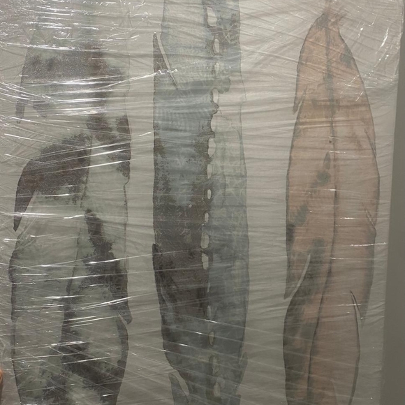 Large Wrapped Canvas Frame - Picture 2 of 2